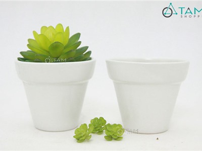 Chậu gốm mini trồng cây để bàn số 61 (màu trắng)